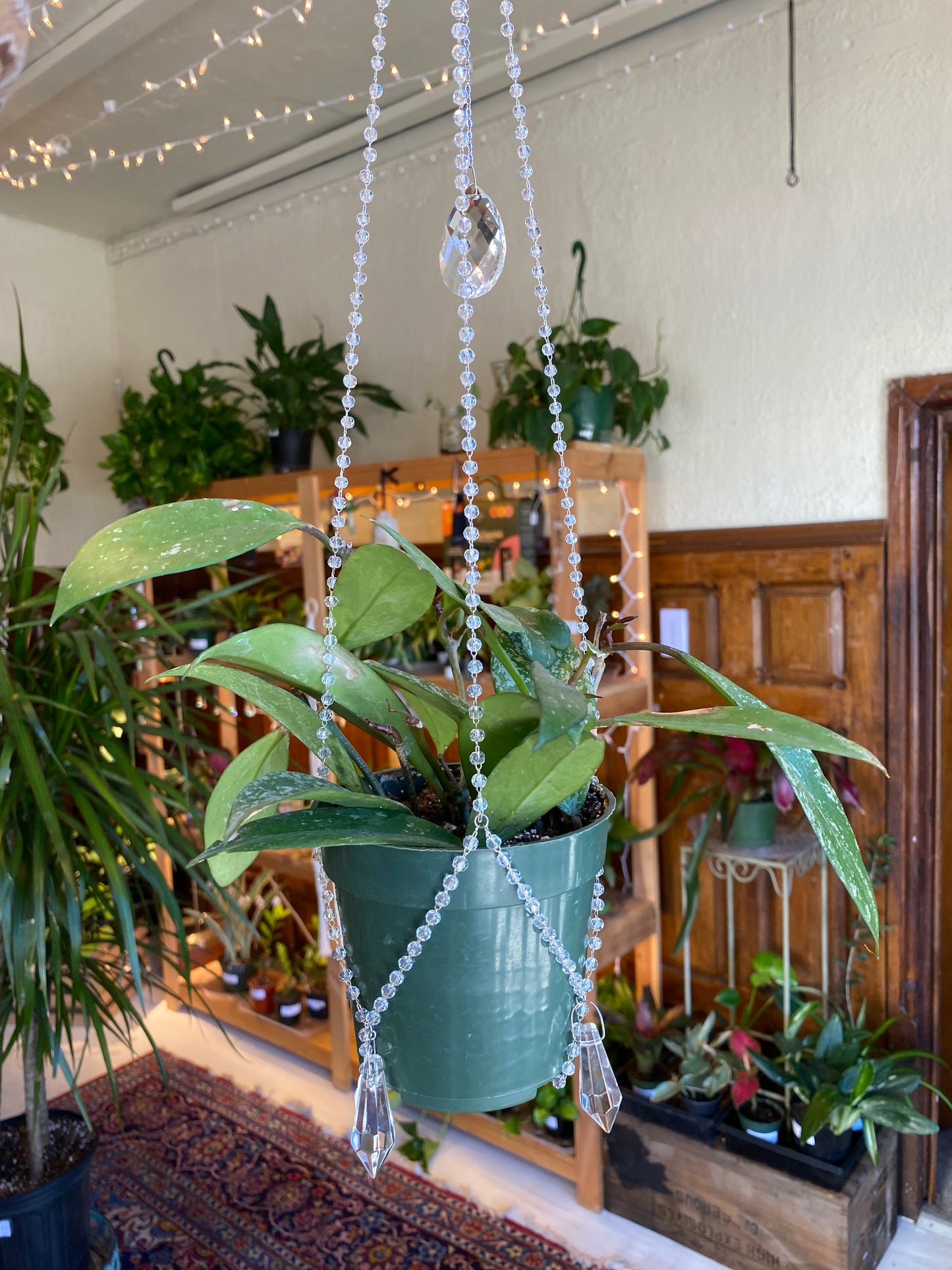 Suncatchers and Plant Charms by Cosmic Crow