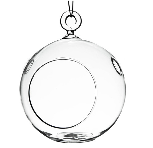 Hanging Glass Terrarium
