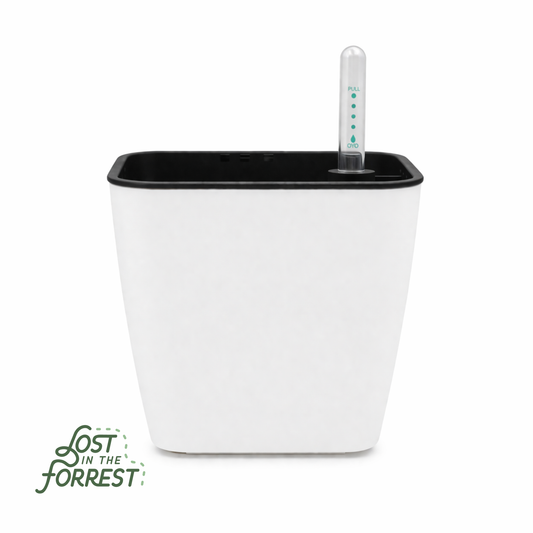 Self-Watering Pot with Water Level Indicator