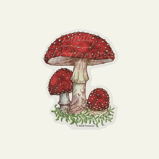 Fly Agaric Mushroom Sticker by Small Victories