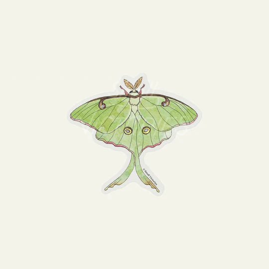 Luna Moth Sticker by Small Victories