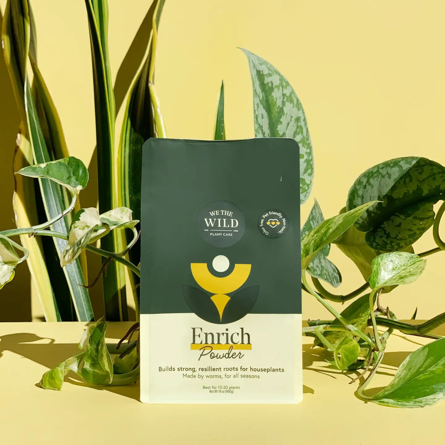 Enrich Powder - We the Wild Plant Care