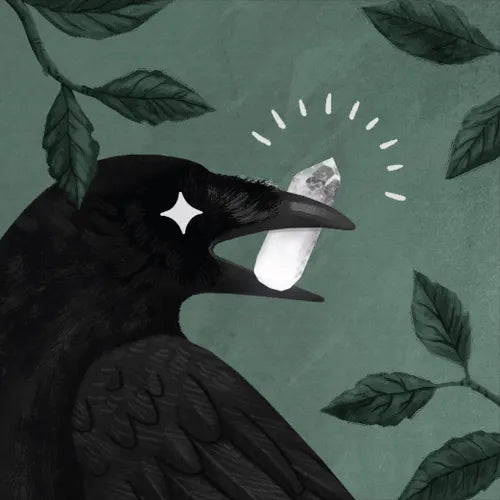 Cosmic Crow Co.