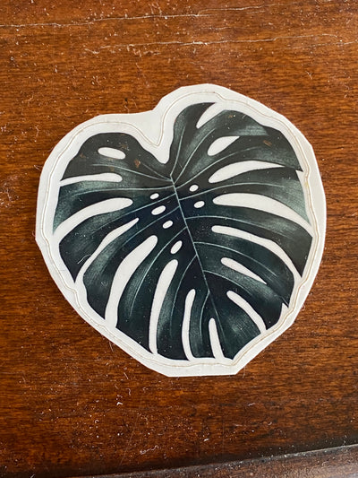 Monstera Deliciosa Leaf