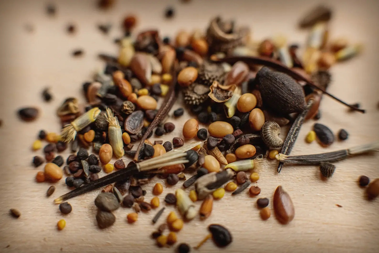 Bee-Friendly Wildflower Seed Packet