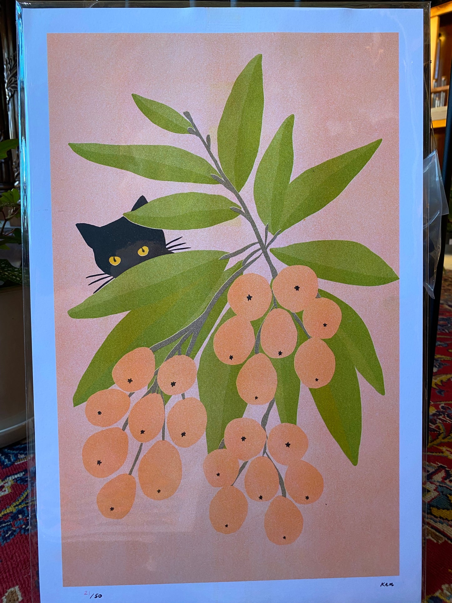 Risograph Prints by StitchPrism