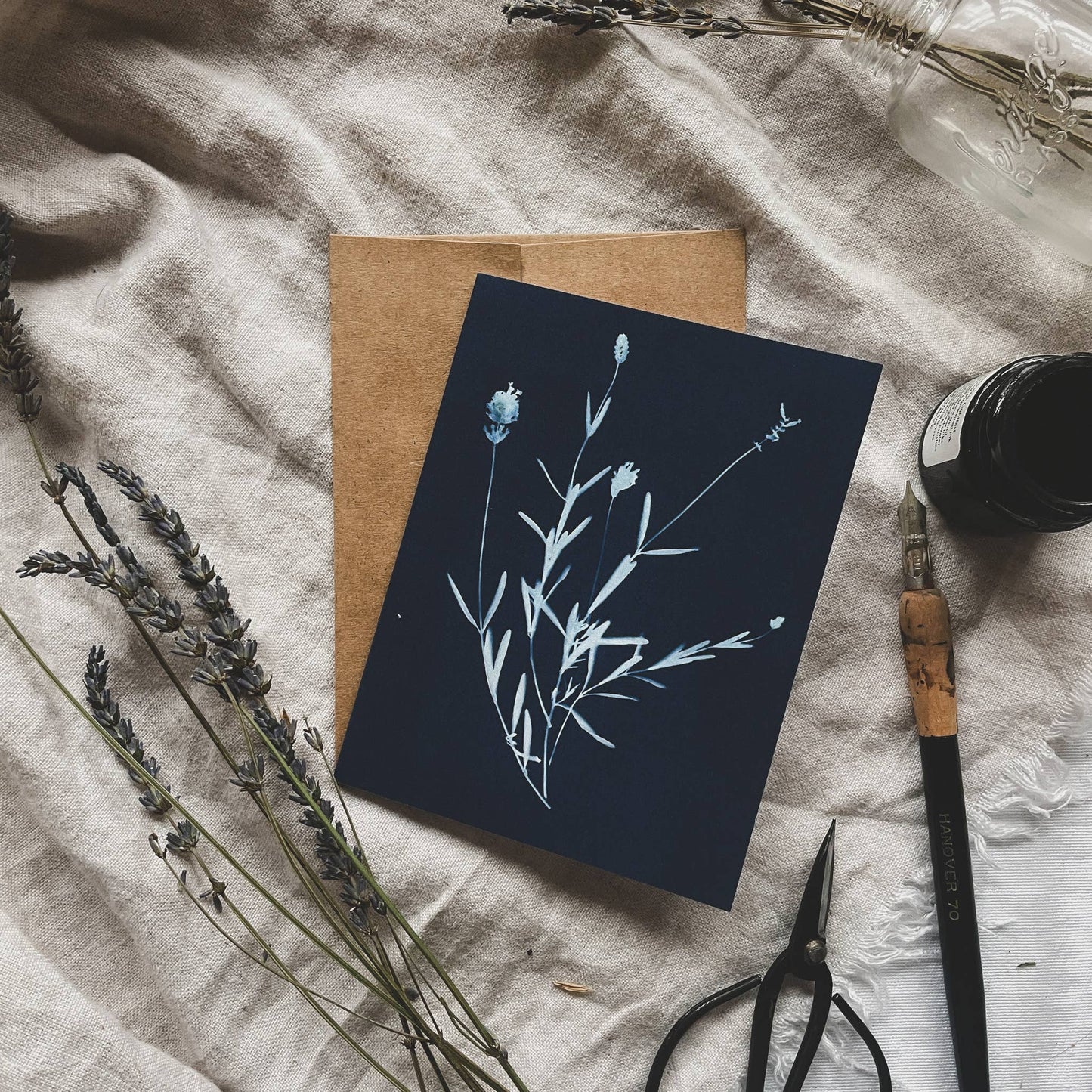 Herbs | Botanical Cyanotype Greeting Cards Boxed Set