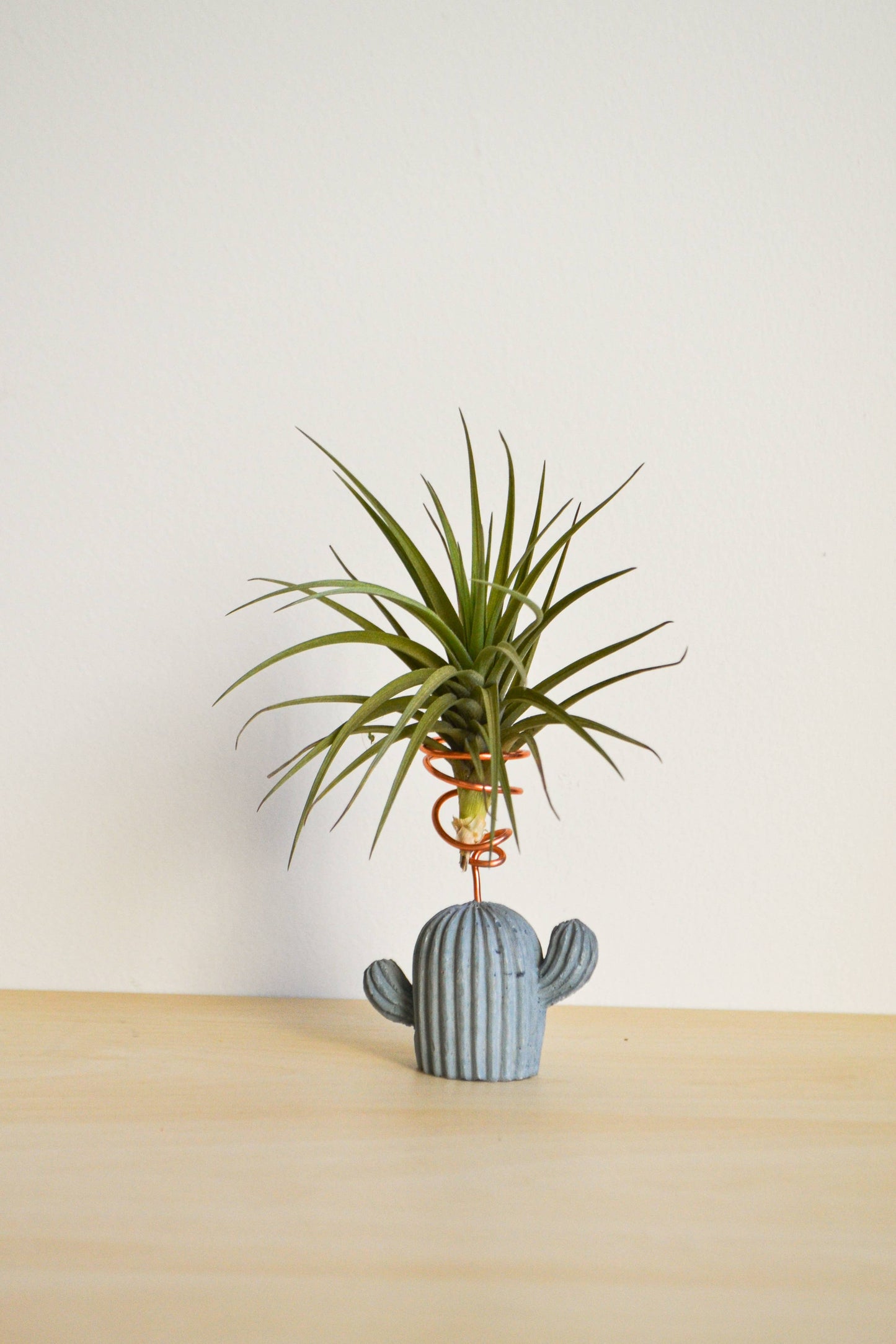 Mini Cactus Air Plant Holder