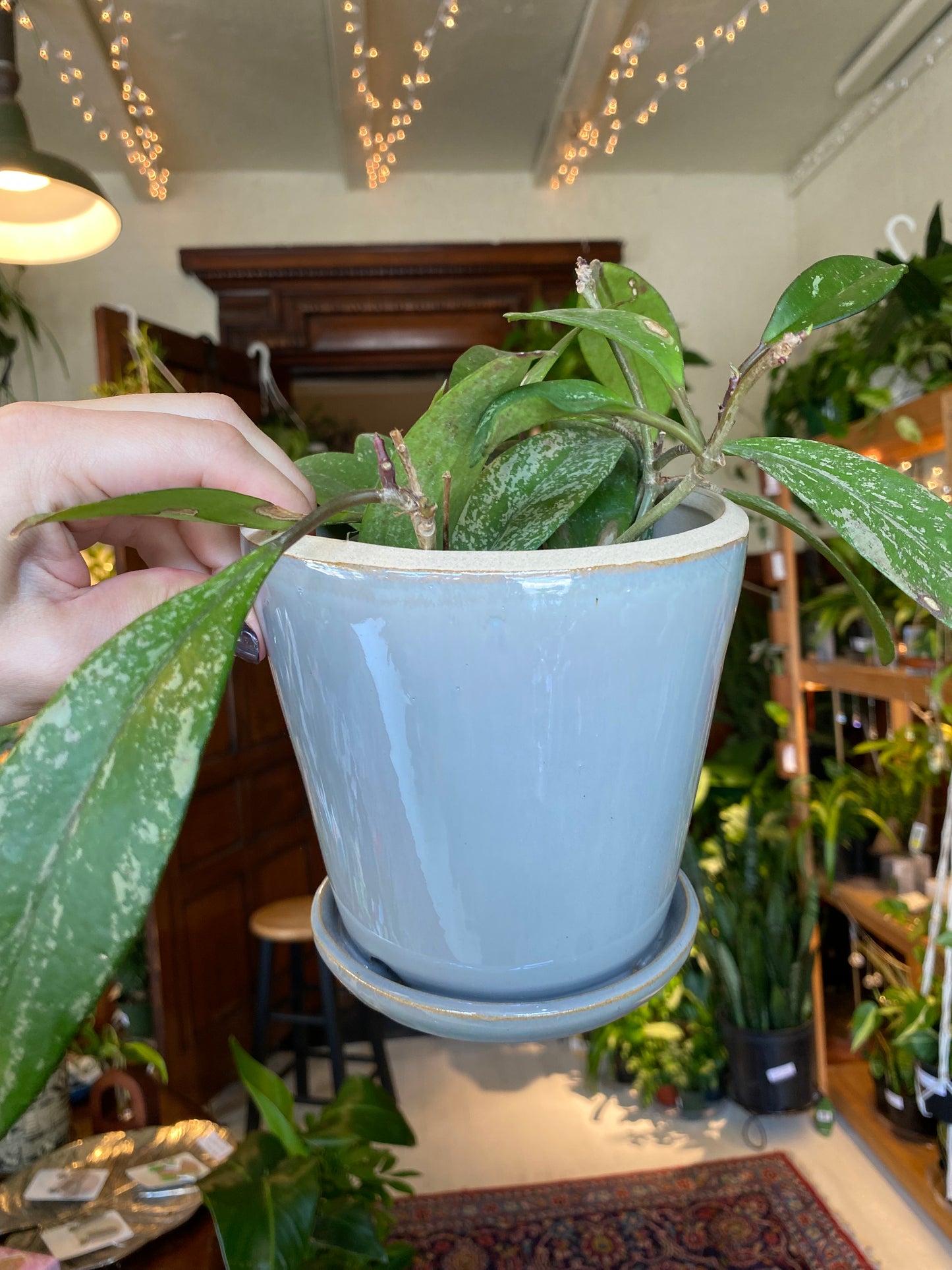 Ceramic Planter Pot with Attached Saucer