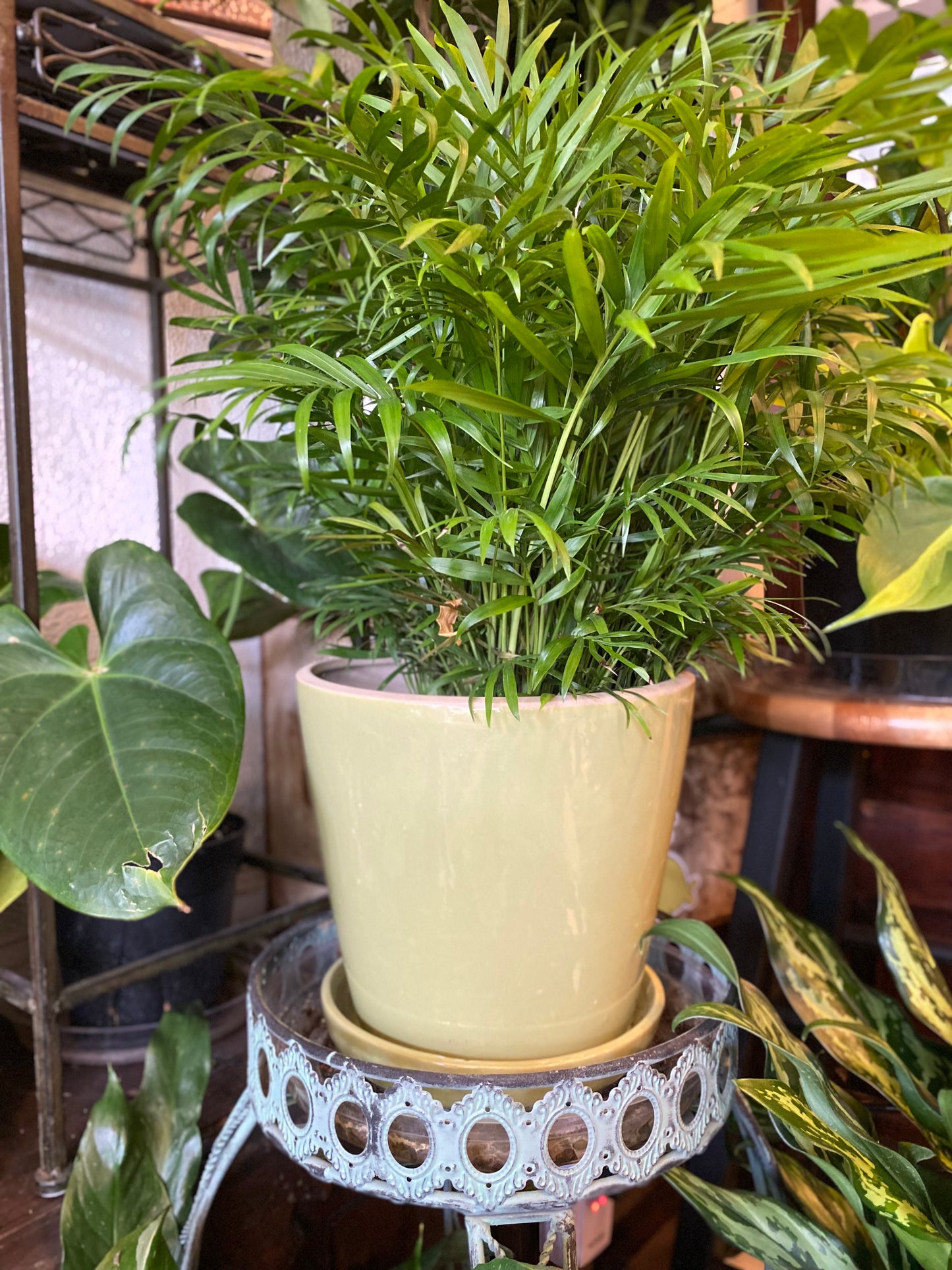 Ceramic Planter Pot with Attached Saucer