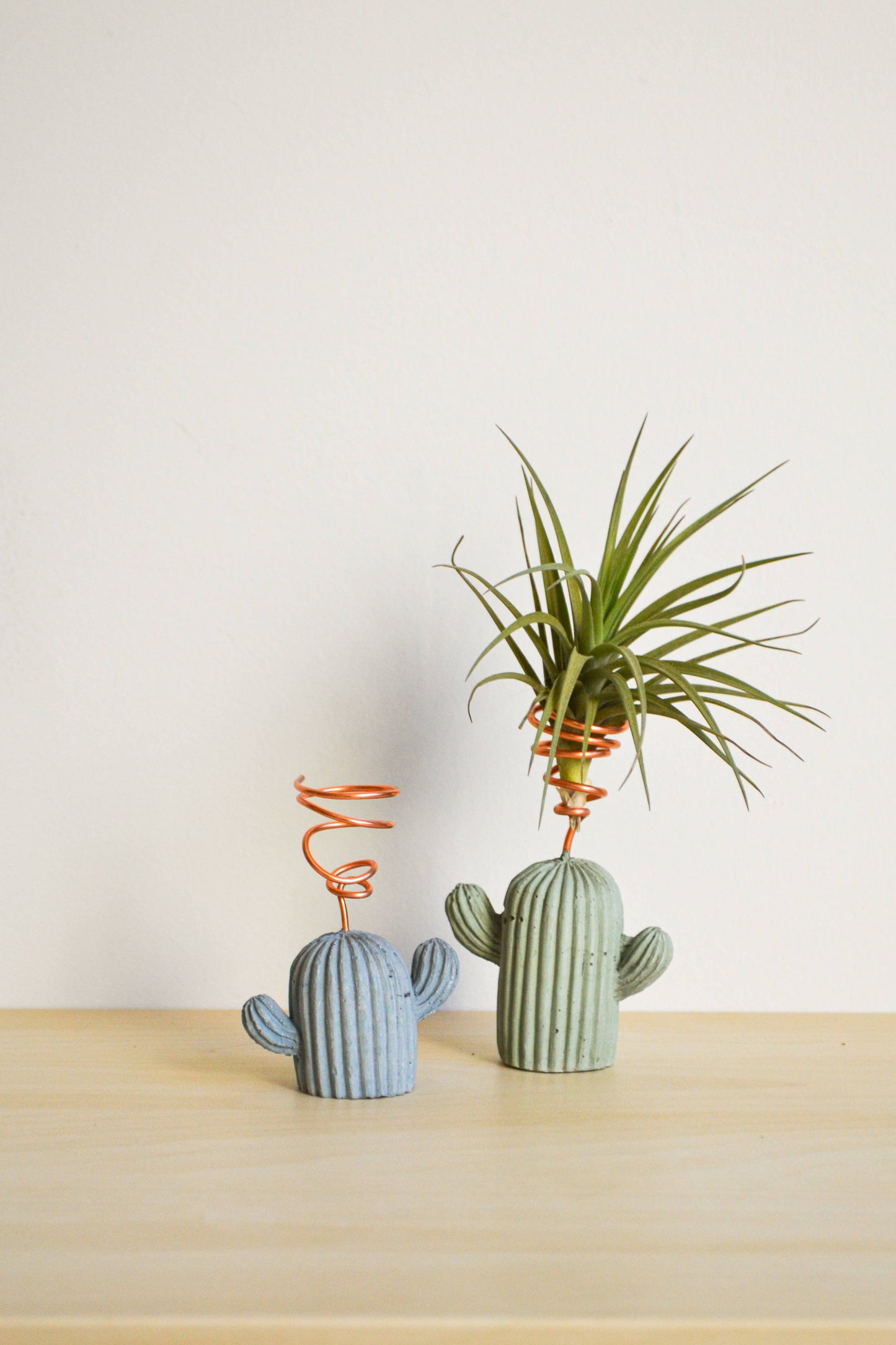 Cactus Airplant Holder
