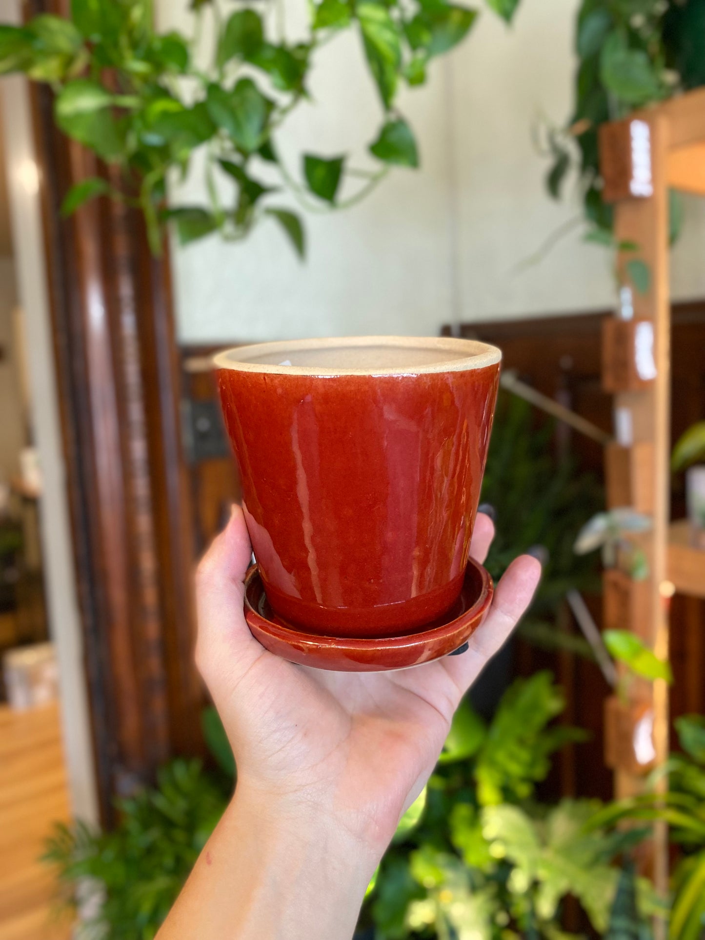 Ceramic Planter Pot with Attached Saucer