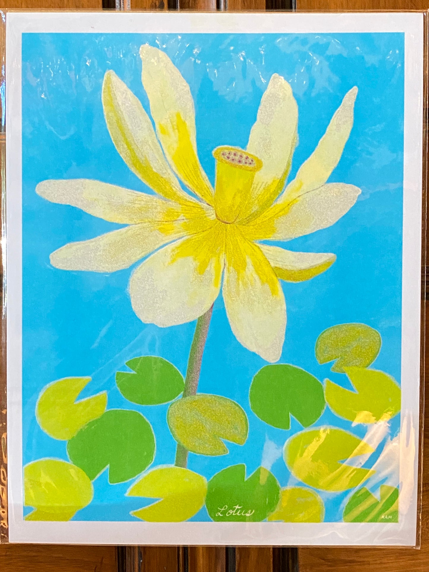 Risograph Prints by StitchPrism