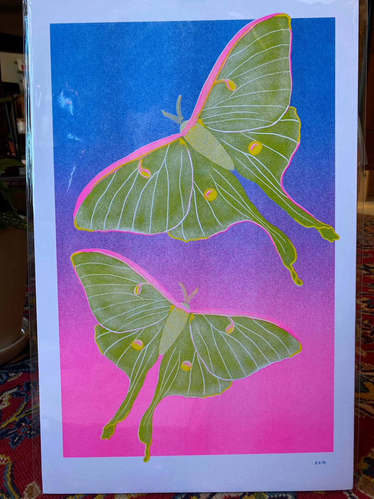Risograph Prints by StitchPrism