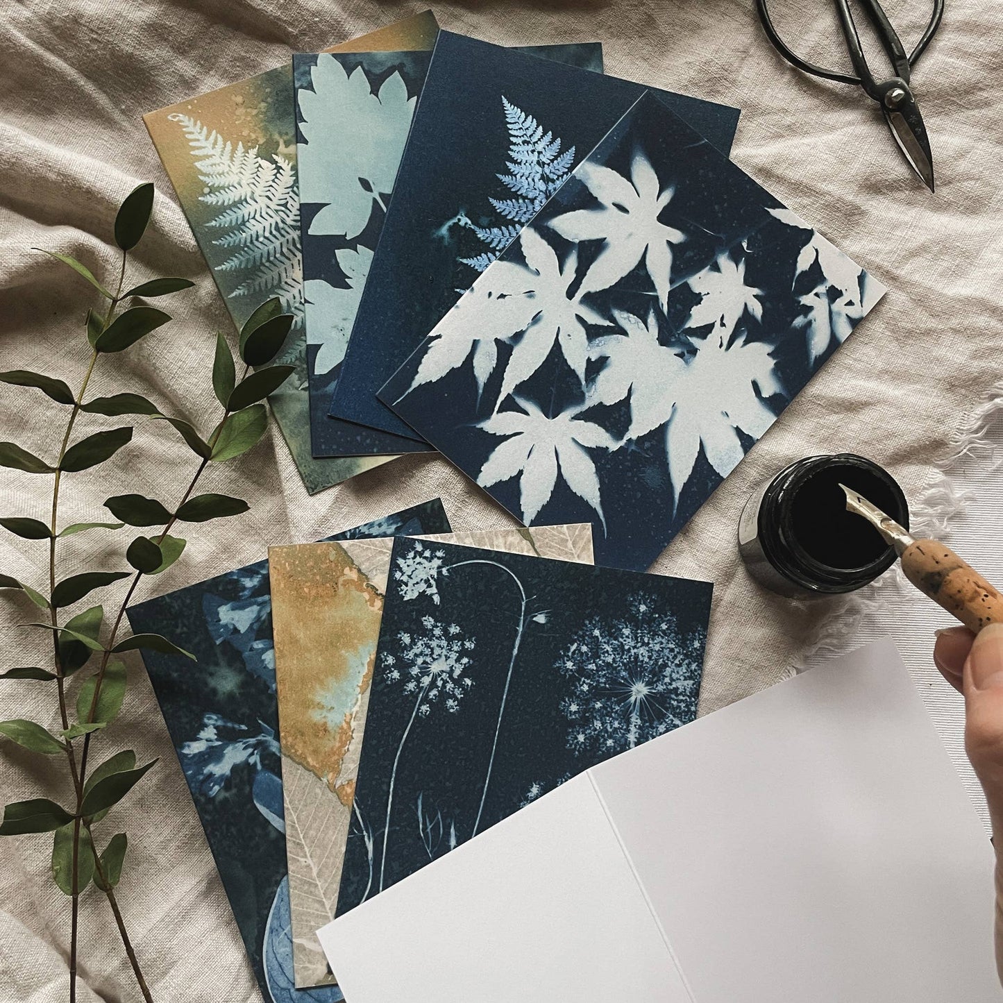 Slow Mornings | Botanical Cyanotype Greeting Cards Boxed Set