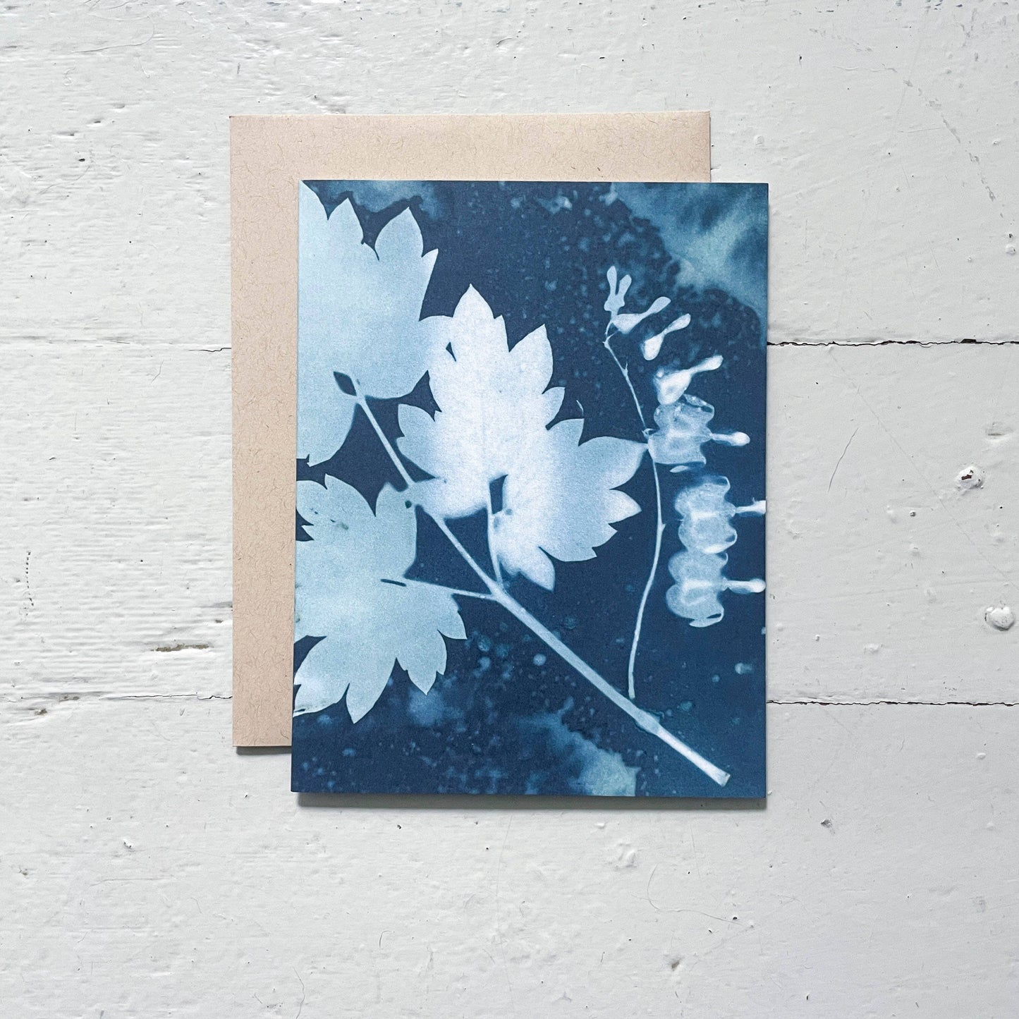 Slow Mornings | Botanical Cyanotype Greeting Cards Boxed Set