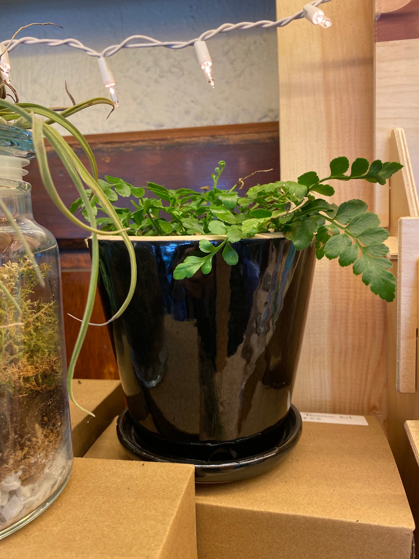 Ceramic Planter Pot with Attached Saucer