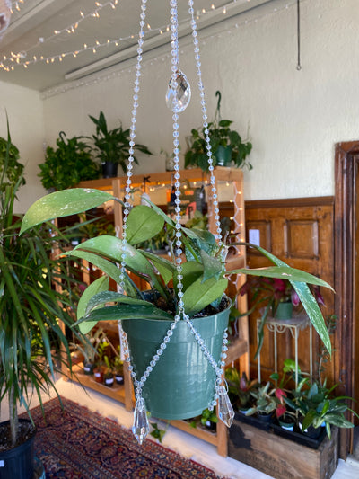 Beaded Pot-hanger