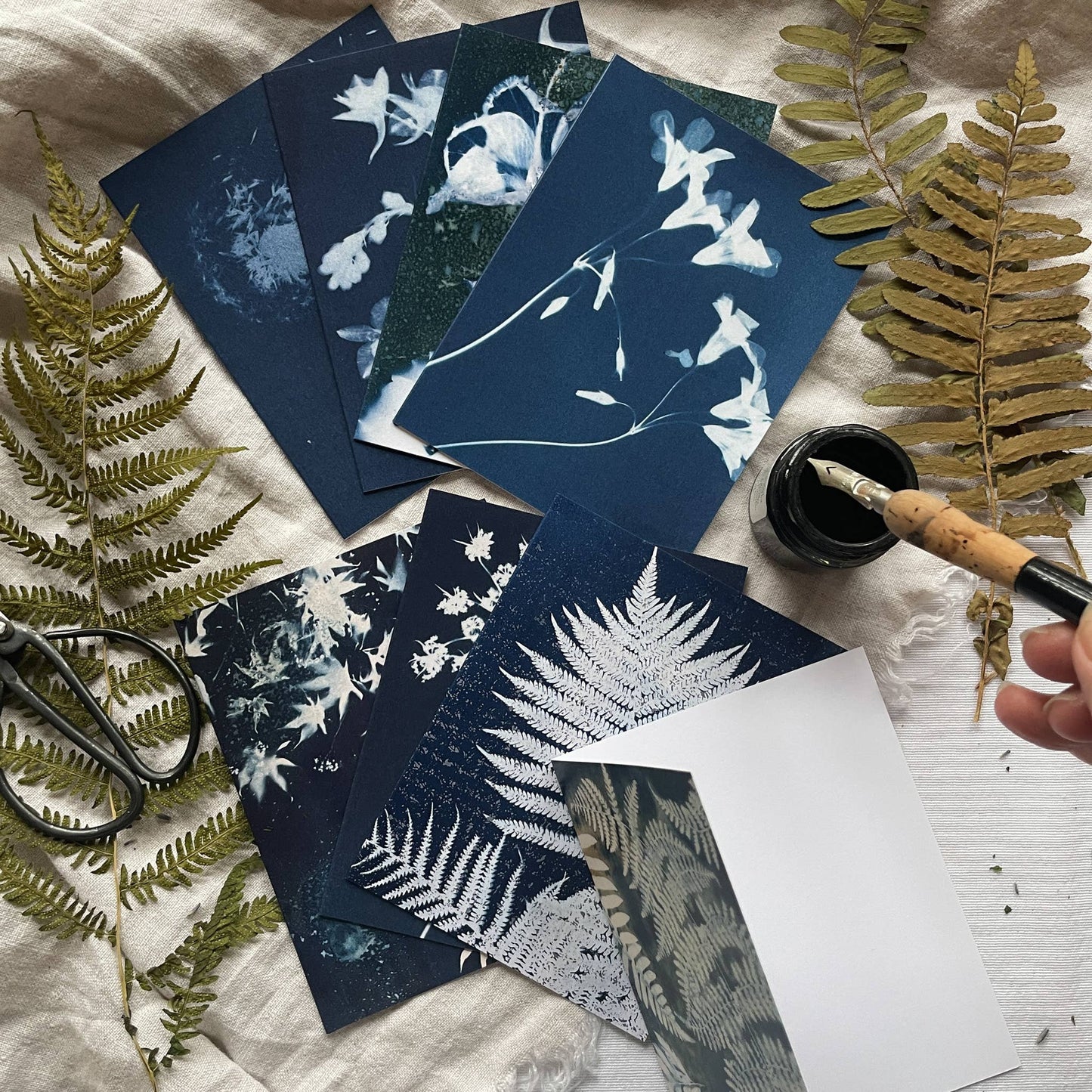 Under the Sun | Botanical Cyanotype Greeting Cards Boxed Set