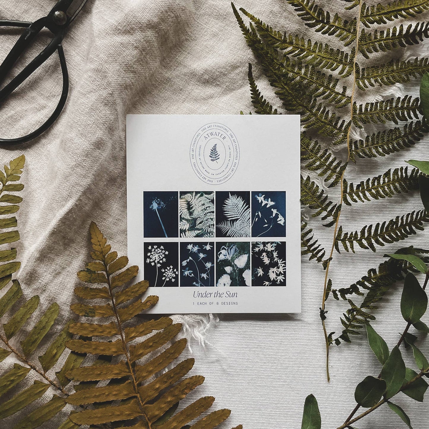Under the Sun | Botanical Cyanotype Greeting Cards Boxed Set