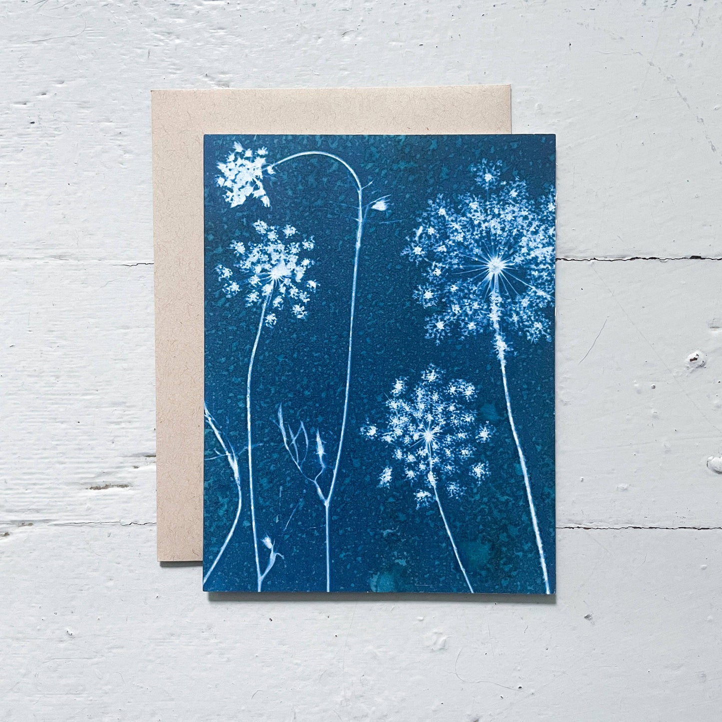 Slow Mornings | Botanical Cyanotype Greeting Cards Boxed Set