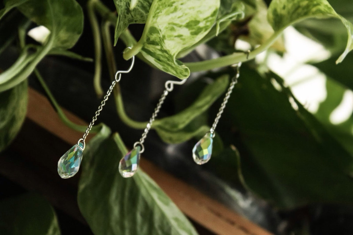 Suncatchers and Plant Charms by Cosmic Crow