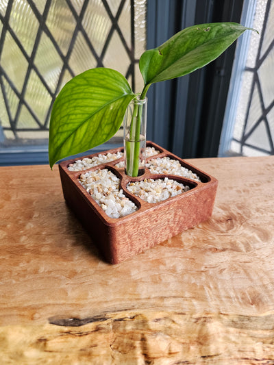 Square Zen Garden Mahogany