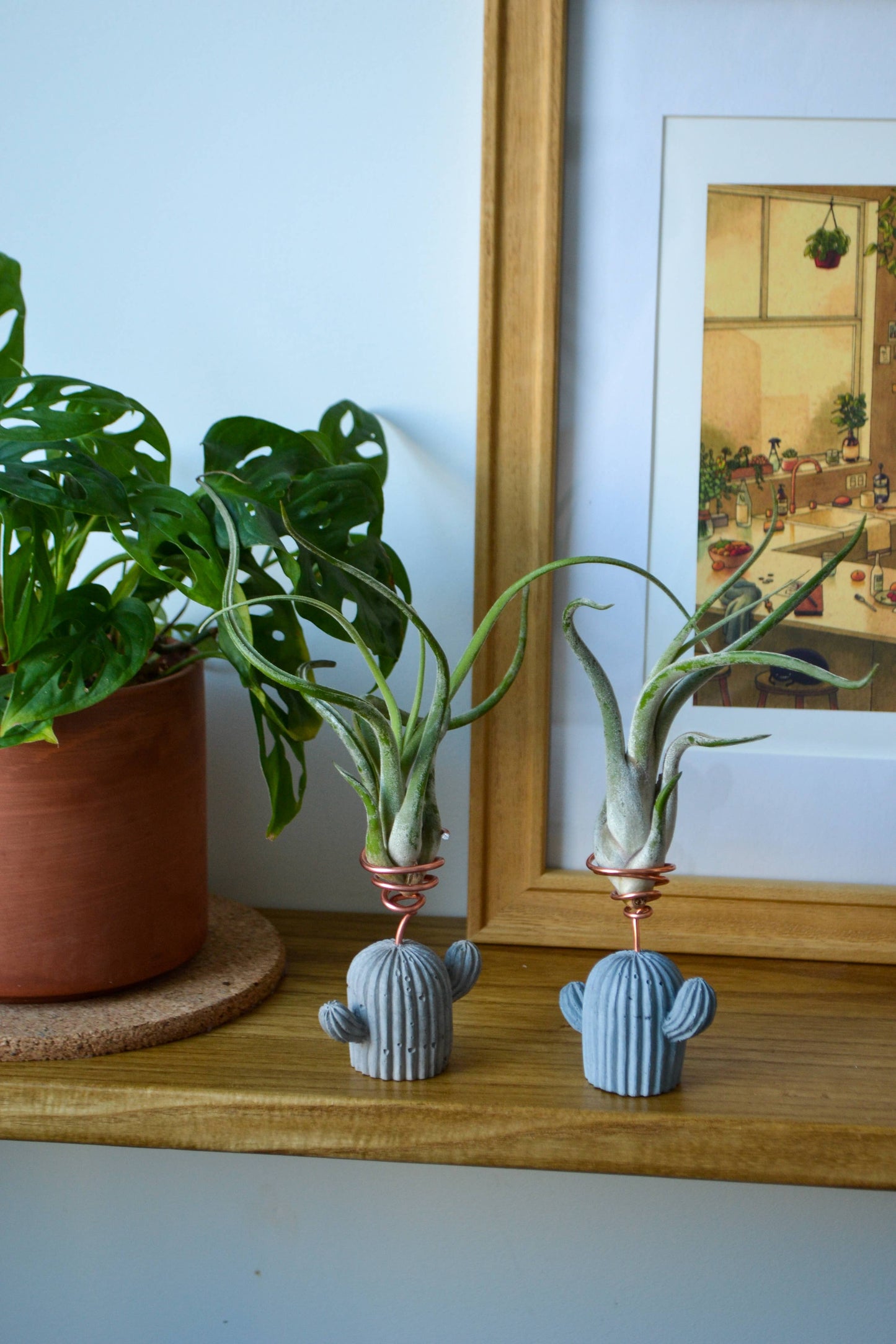 Mini Cactus Air Plant Holder