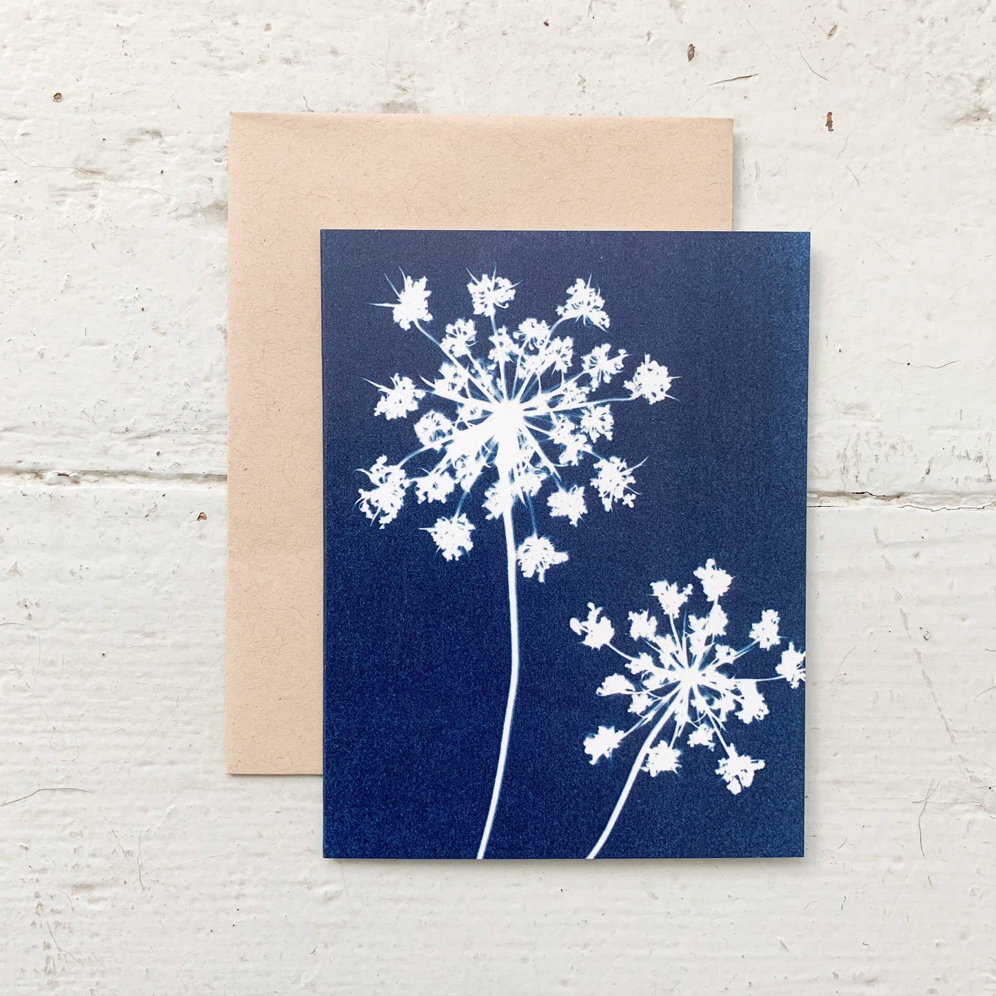 Under the Sun | Botanical Cyanotype Greeting Cards Boxed Set