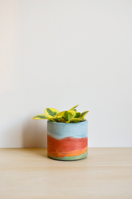 Rainbow Watercolor Planter | 6”