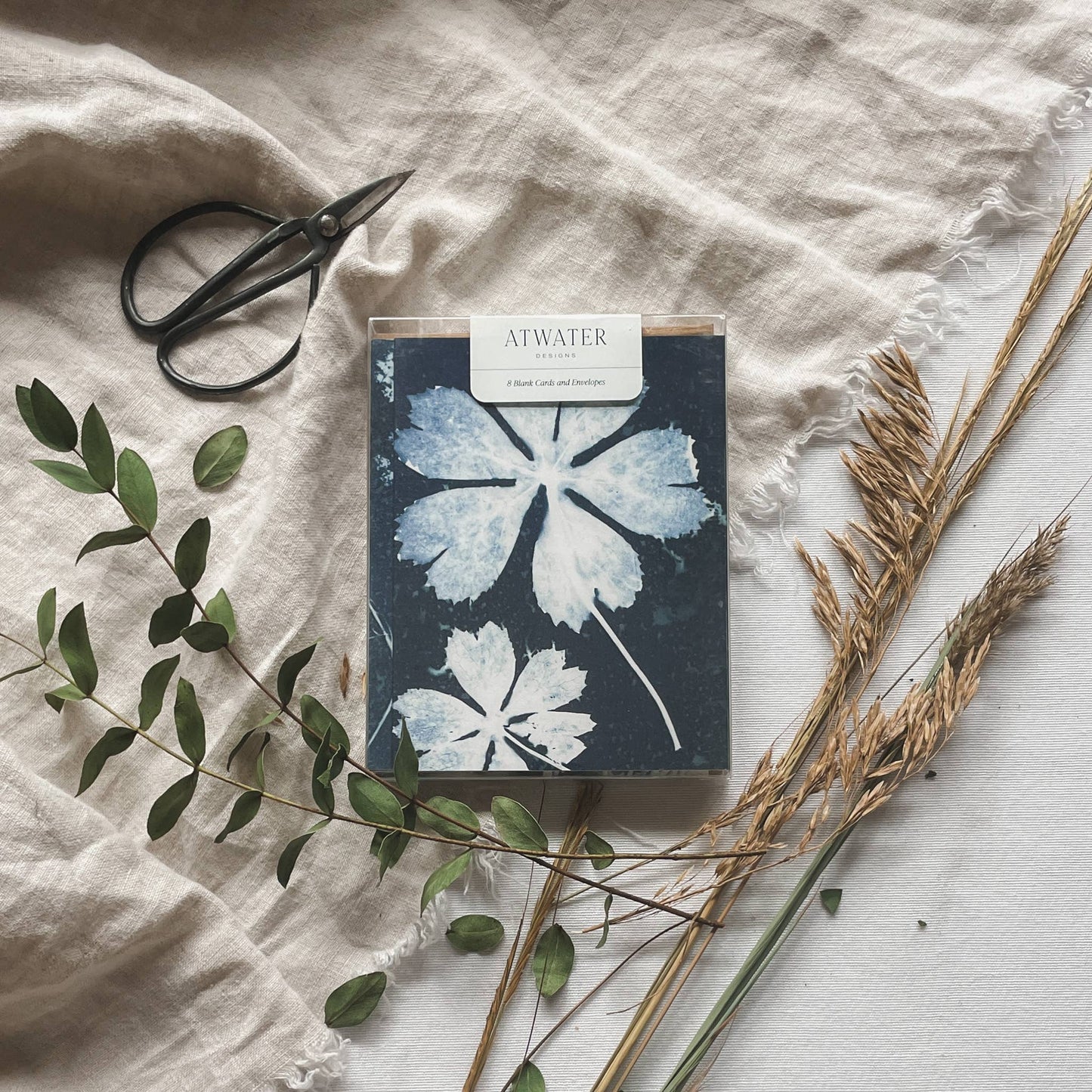 Slow Mornings | Botanical Cyanotype Greeting Cards Boxed Set