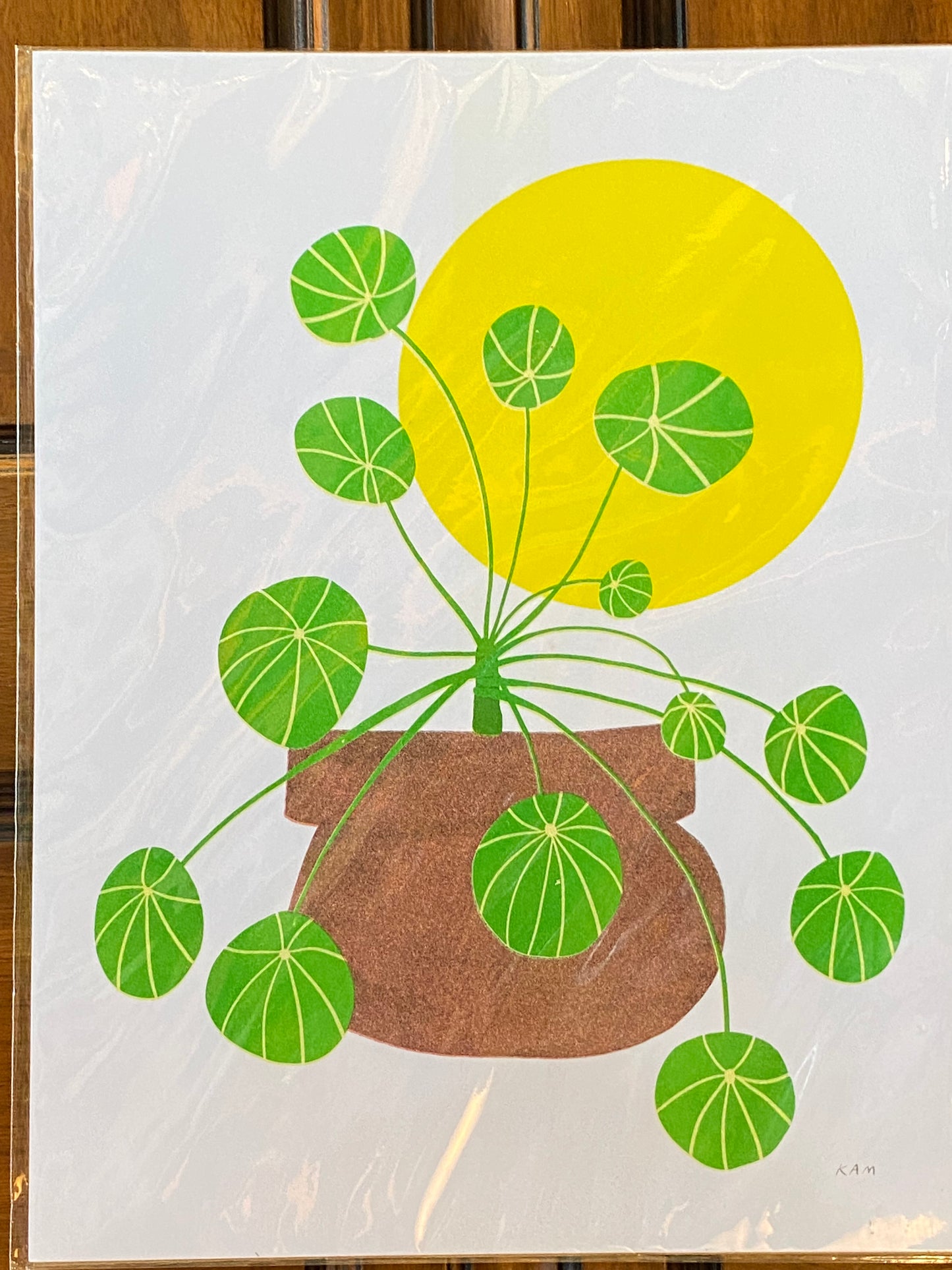 Risograph Prints by StitchPrism