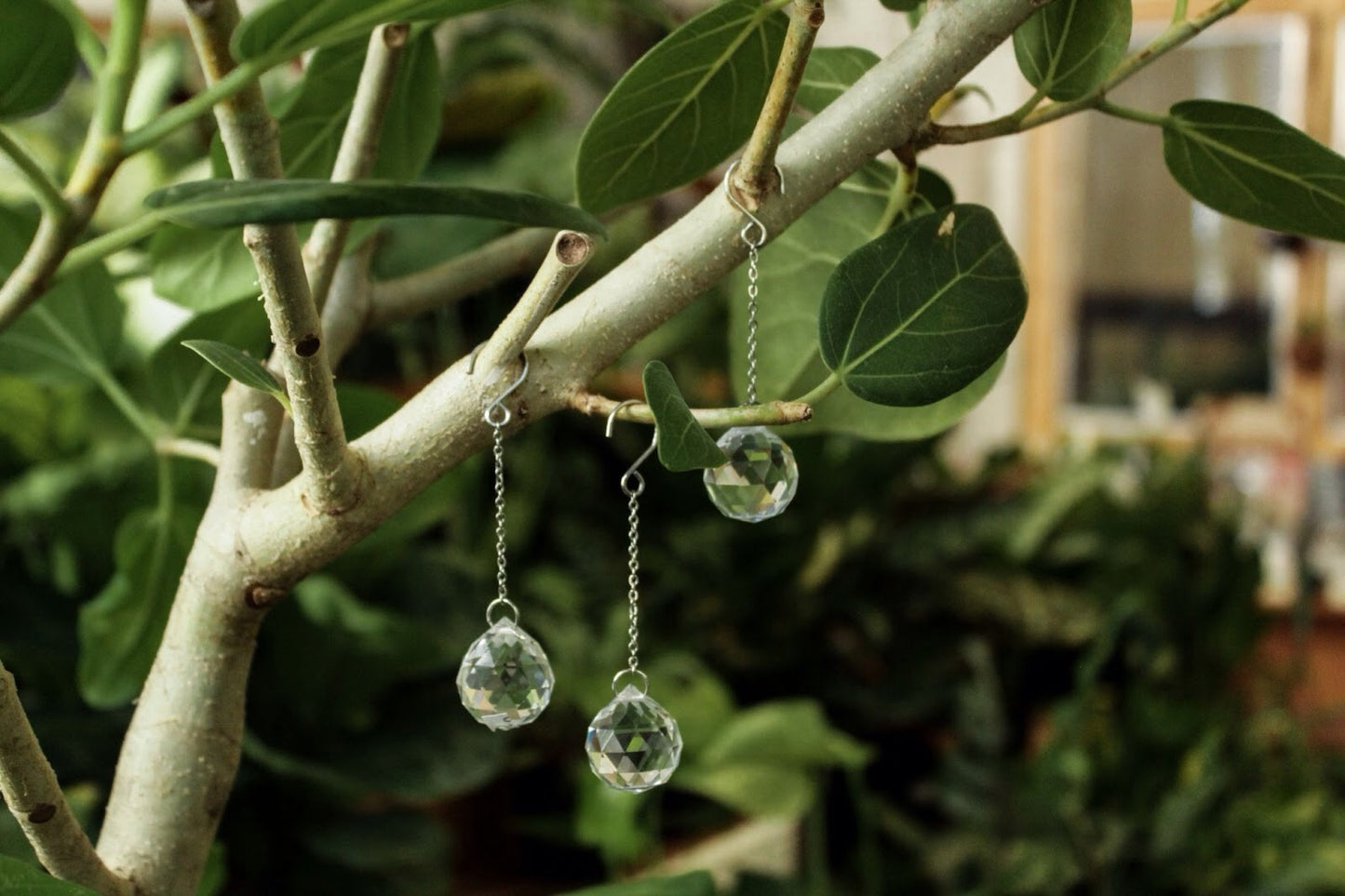 Suncatchers and Plant Charms by Cosmic Crow