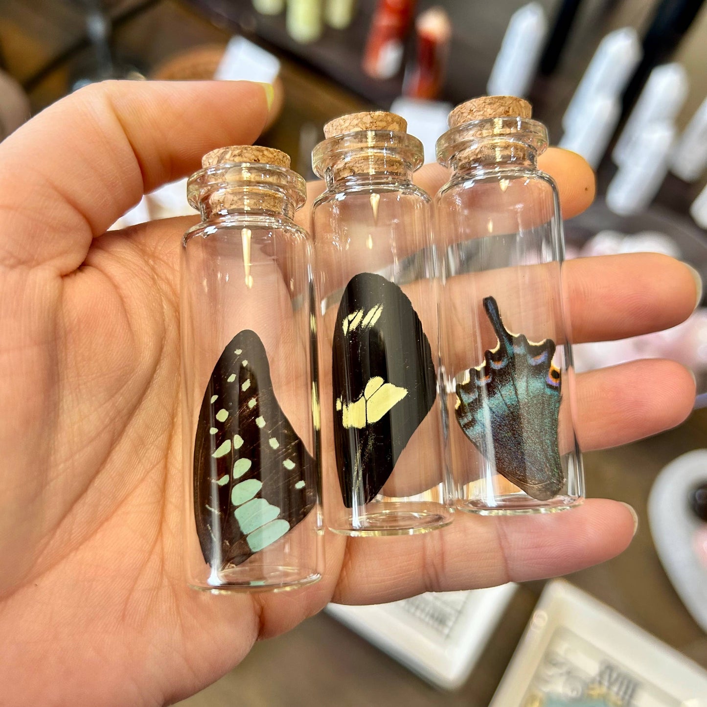 Butterfly Wing Vial