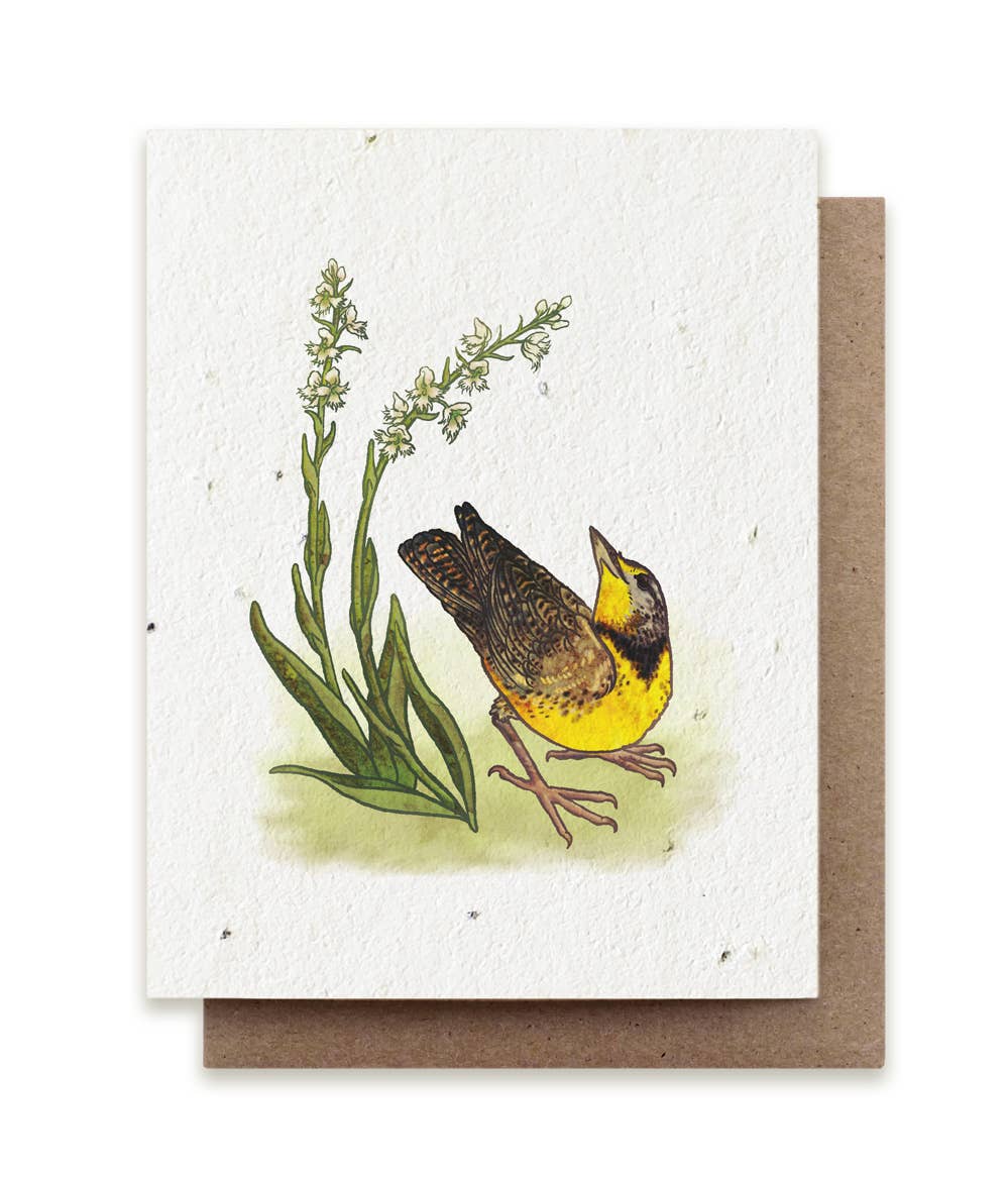 Plantable Wildflower Seed Card by Small Victories