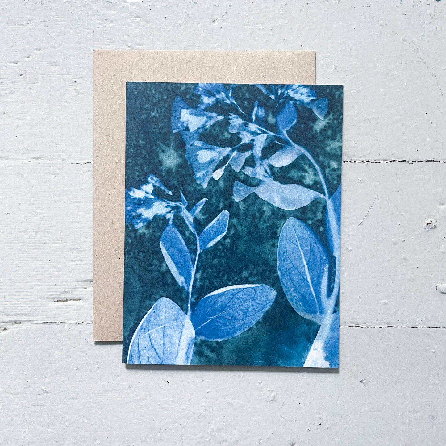 Slow Mornings | Botanical Cyanotype Greeting Cards Boxed Set