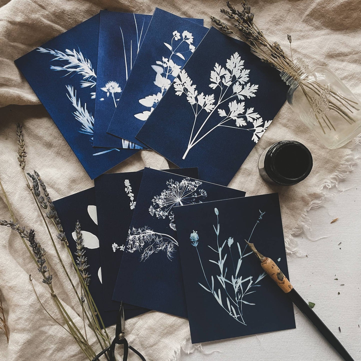 Herbs | Botanical Cyanotype Greeting Cards Boxed Set