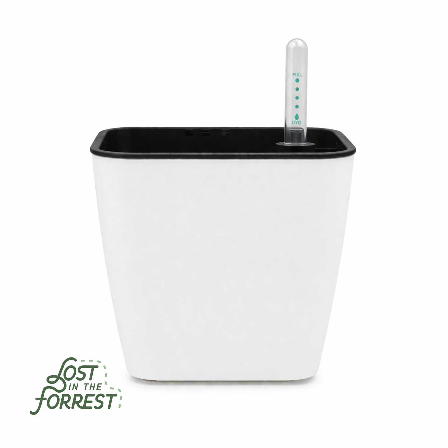 Self-Watering Pot with Water Level Indicator