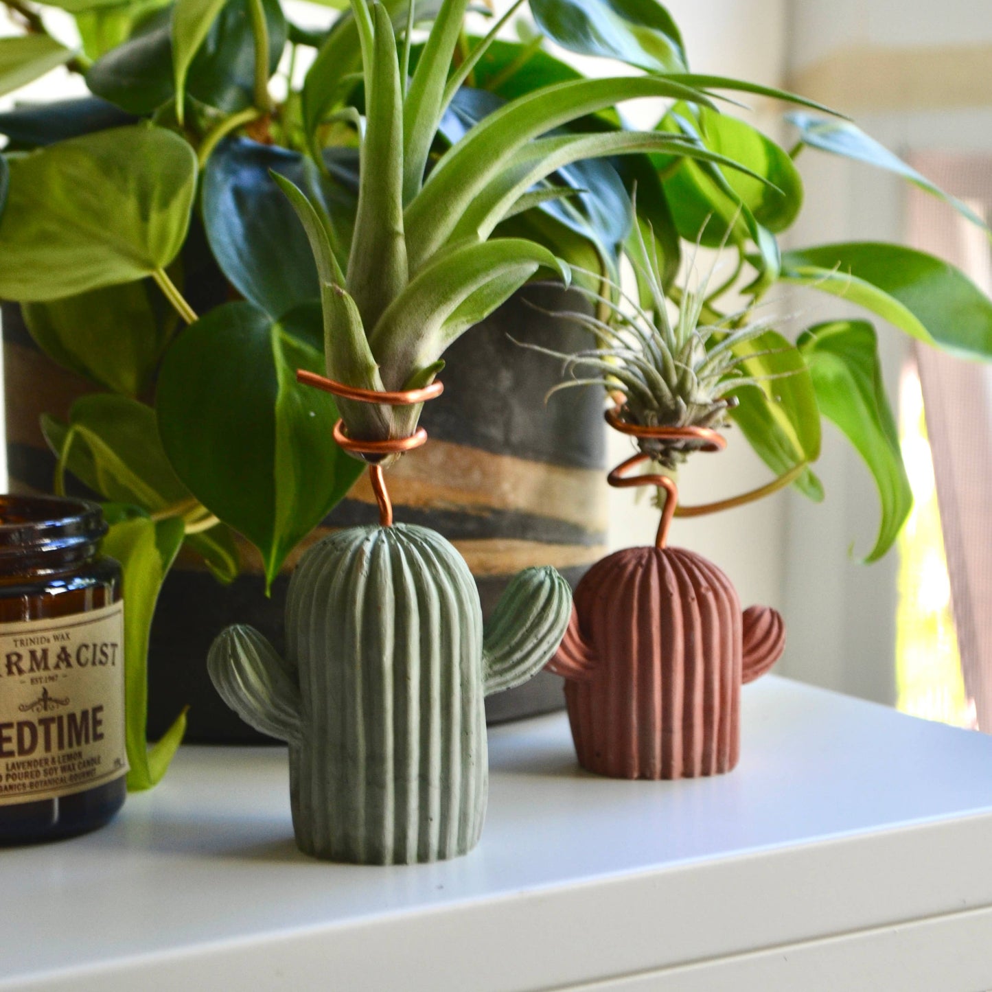 Mini Cactus Air Plant Holder