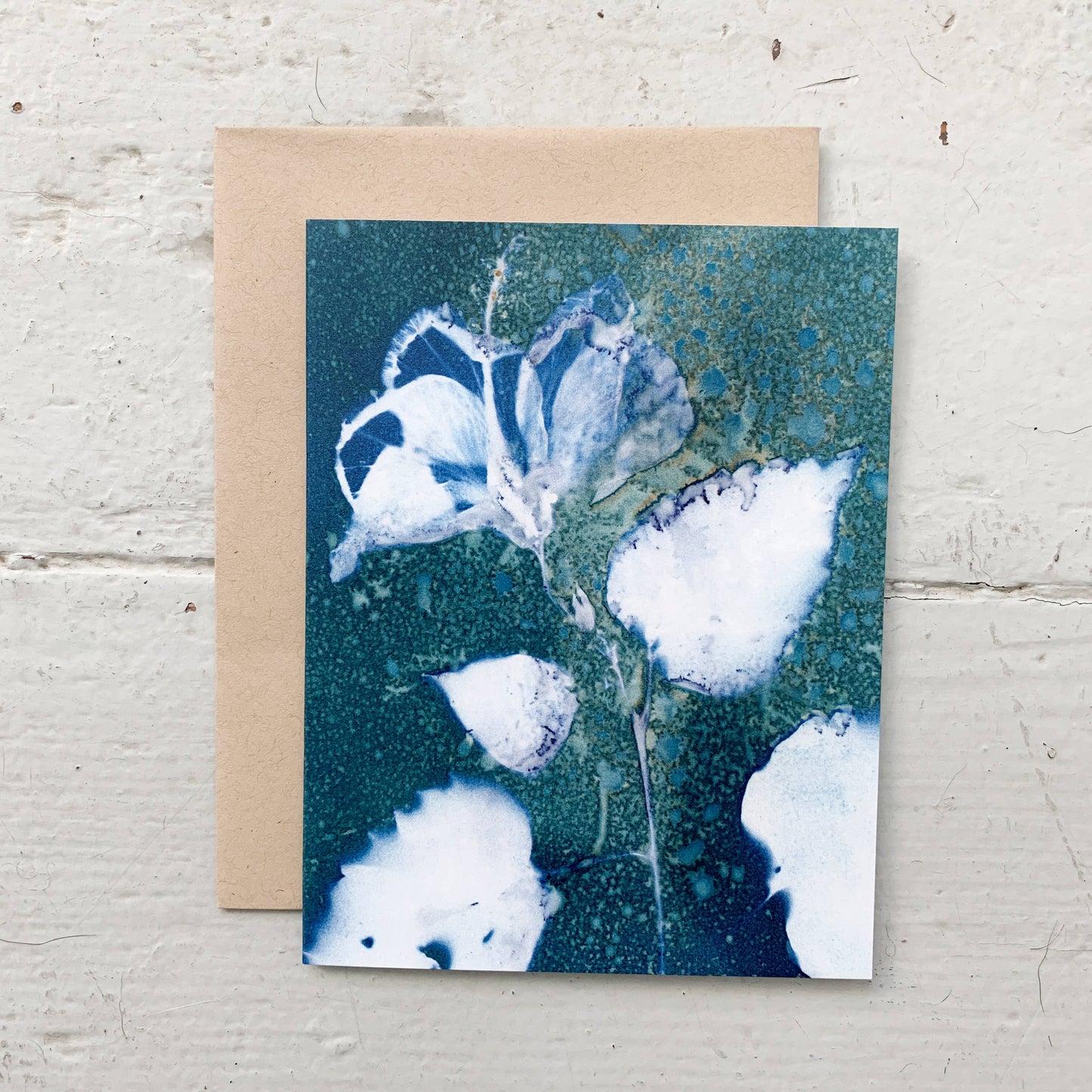 Under the Sun | Botanical Cyanotype Greeting Cards Boxed Set