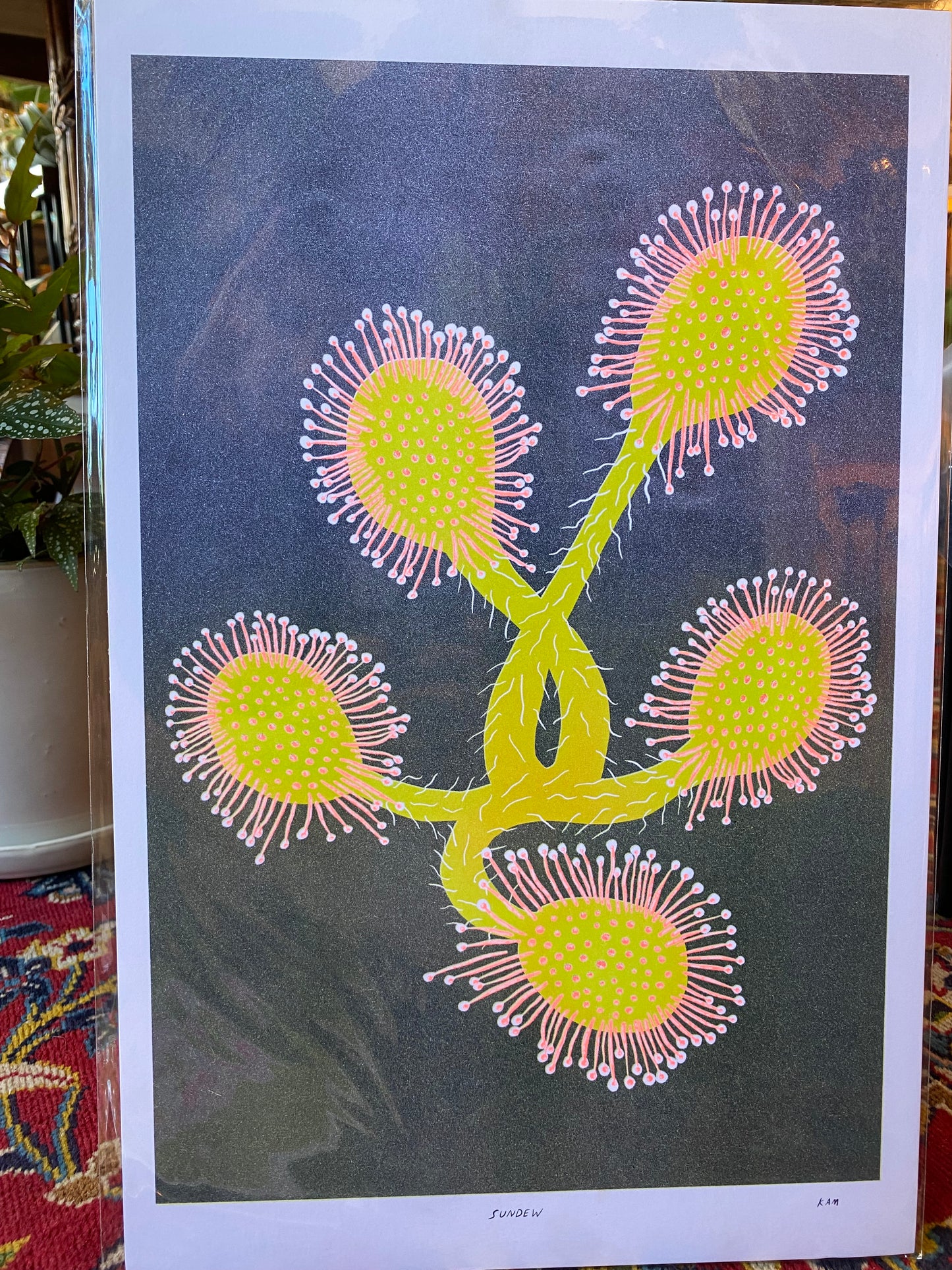 Risograph Prints by StitchPrism