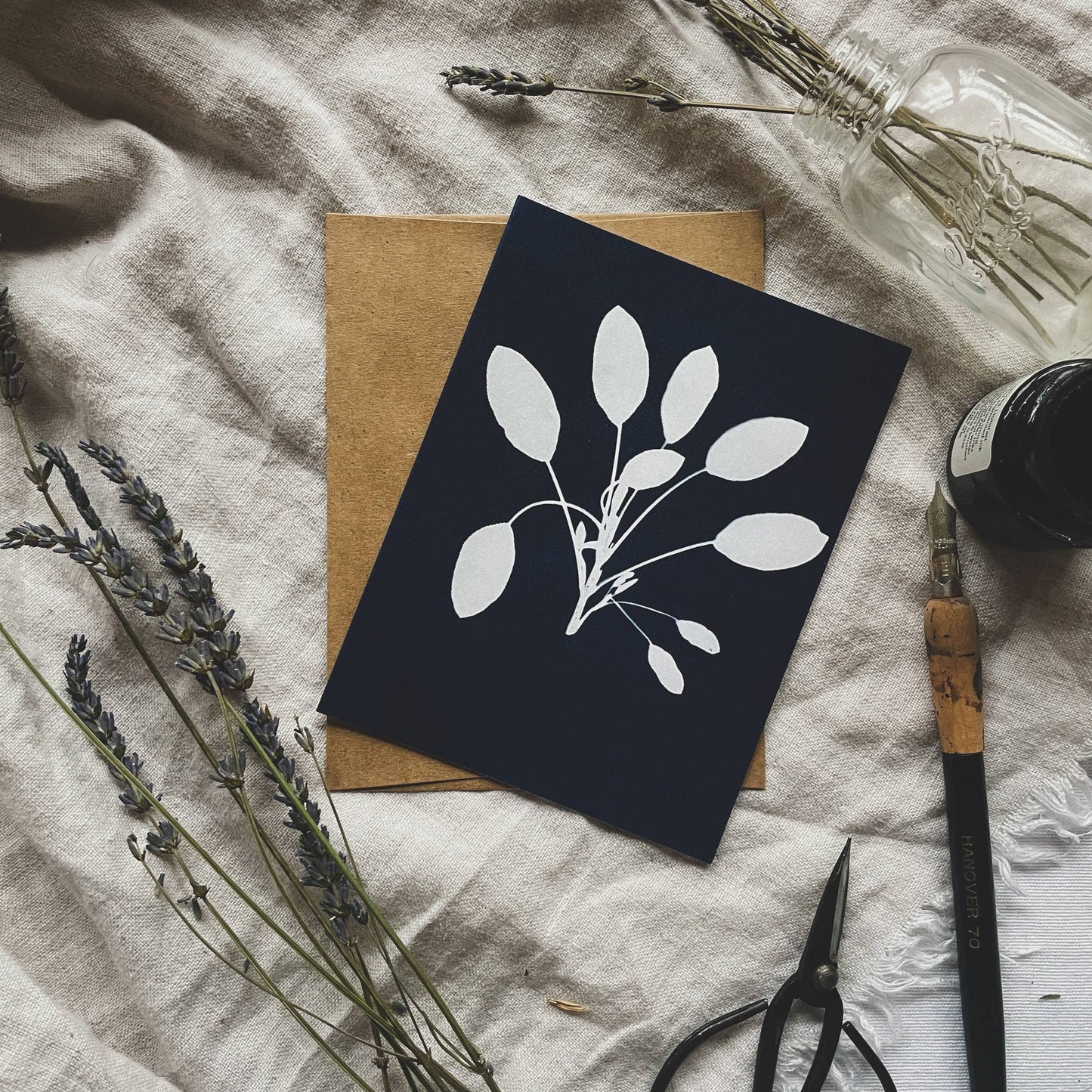 Herbs | Botanical Cyanotype Greeting Cards Boxed Set
