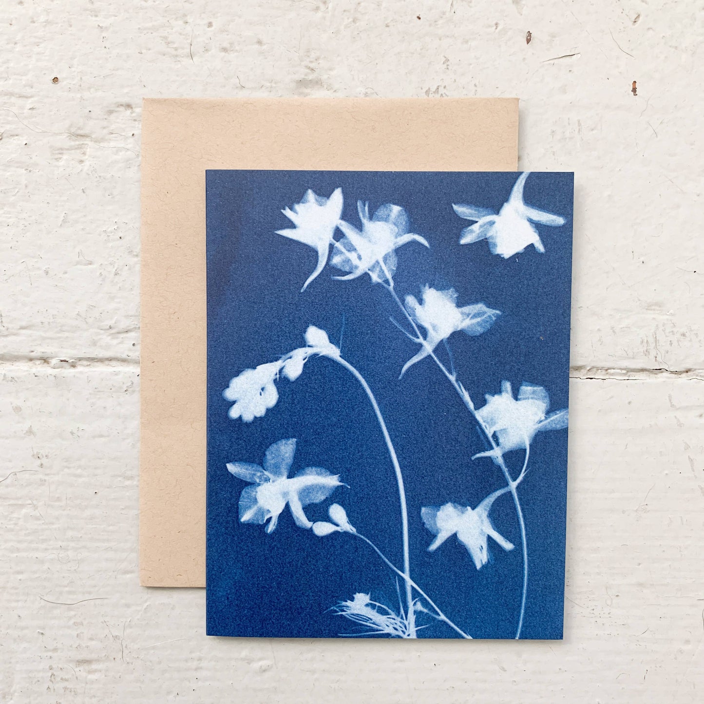 Under the Sun | Botanical Cyanotype Greeting Cards Boxed Set