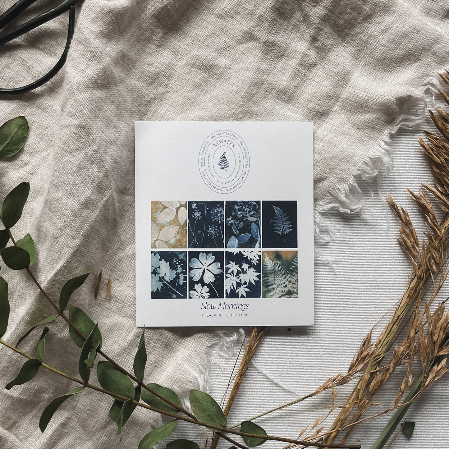 Slow Mornings | Botanical Cyanotype Greeting Cards Boxed Set