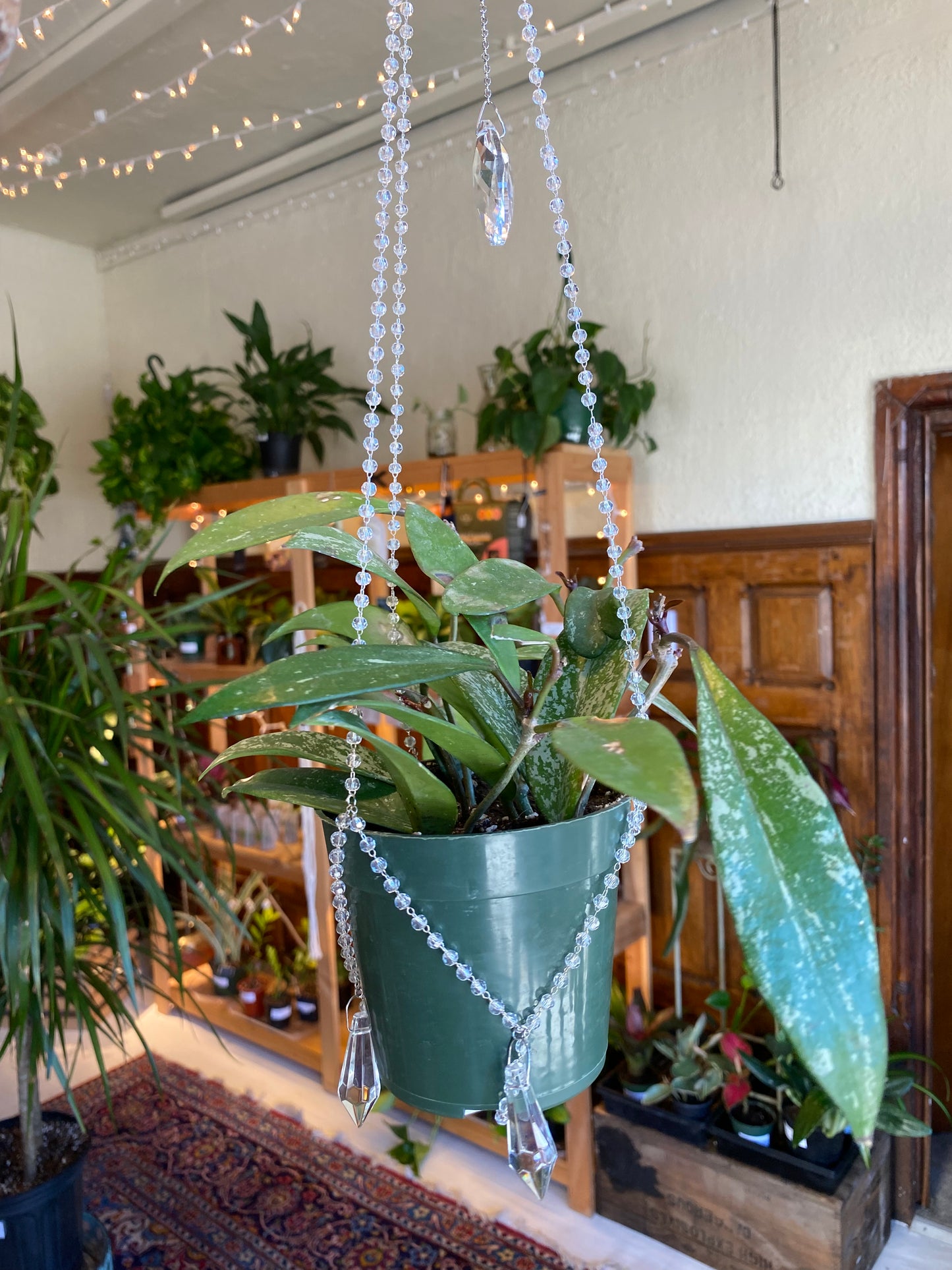 Suncatchers and Plant Charms by Cosmic Crow