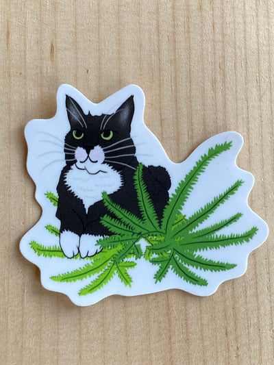 Tuxedo Cat with Plant