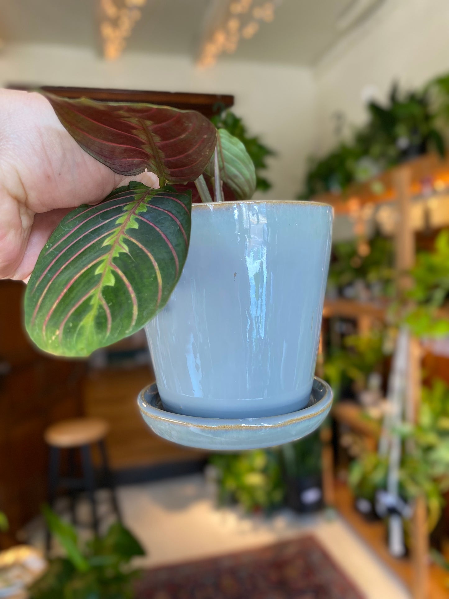 Ceramic Planter Pot with Attached Saucer