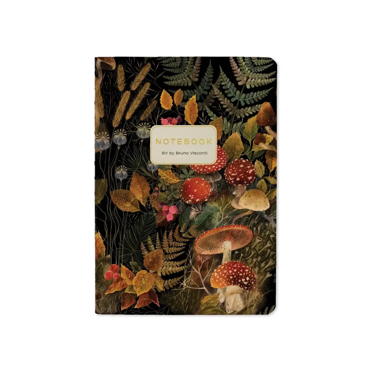 Journals and Notebooks by Bruno Visconti