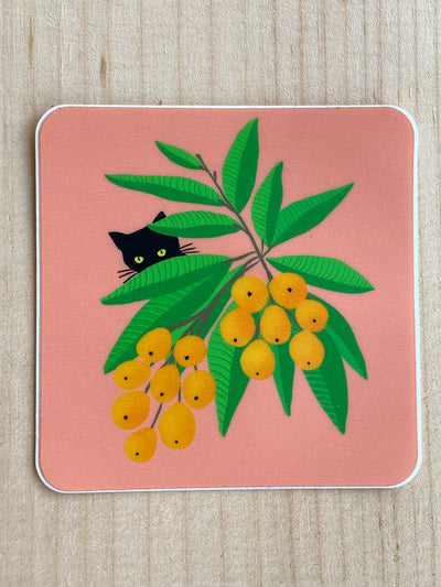 Momo (Black Cat) Hiding
