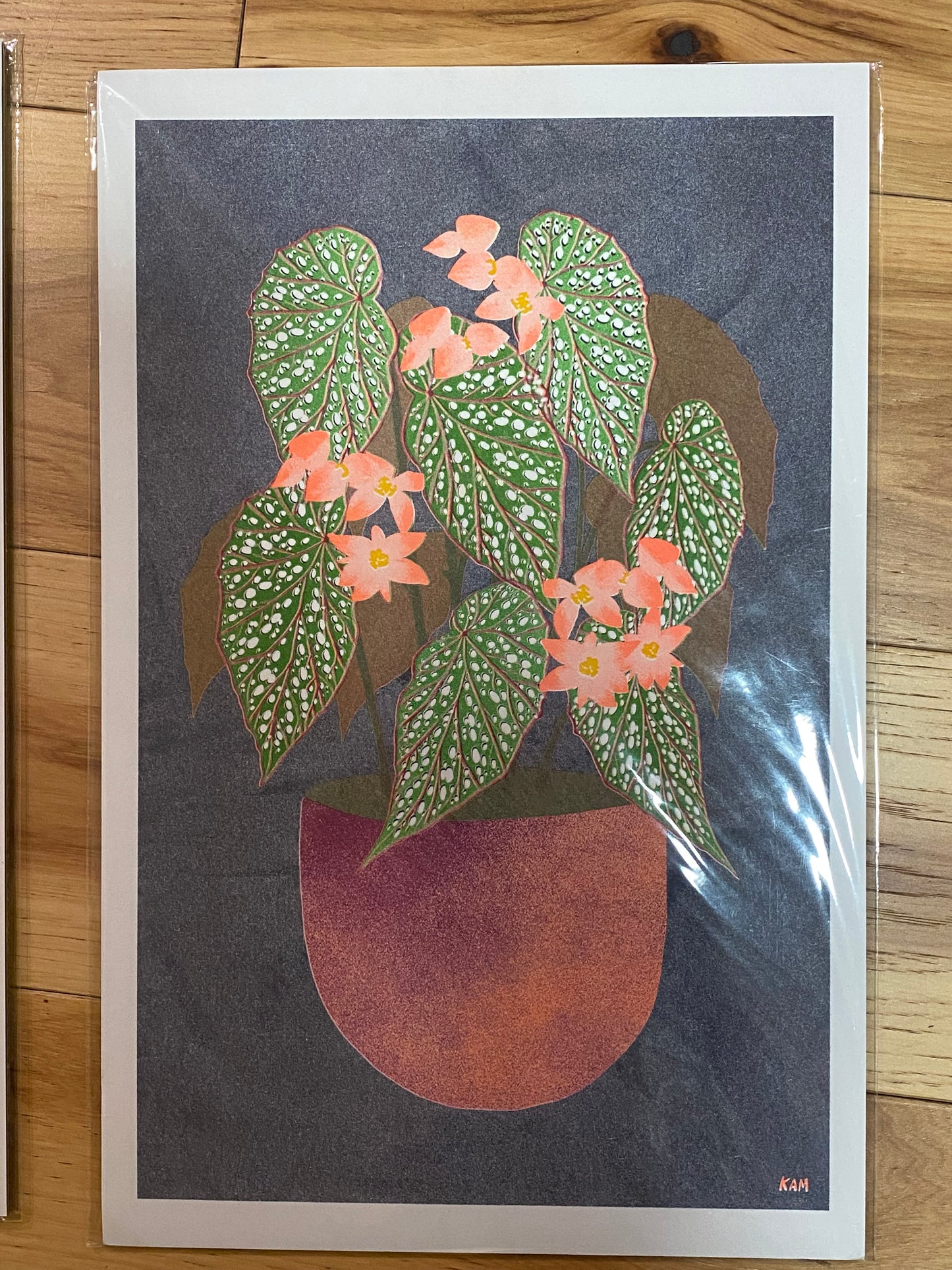 Stitch Prism Risograph Prints
